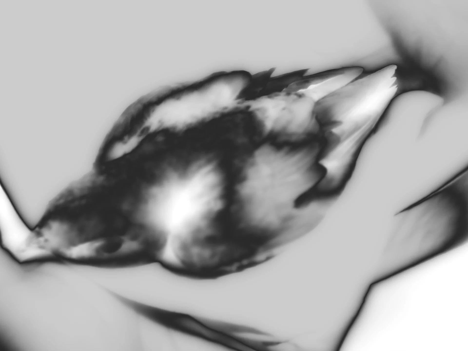 02