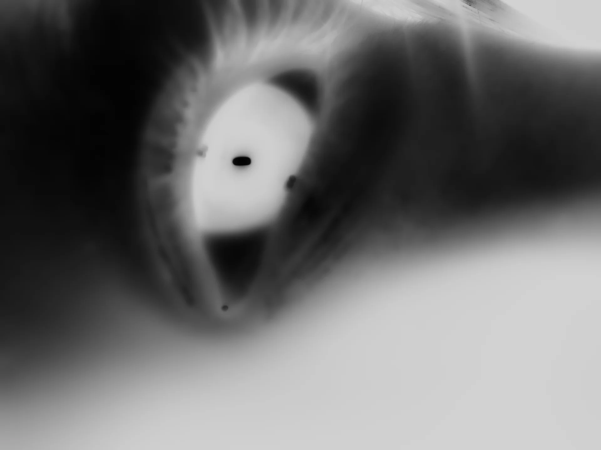 09
